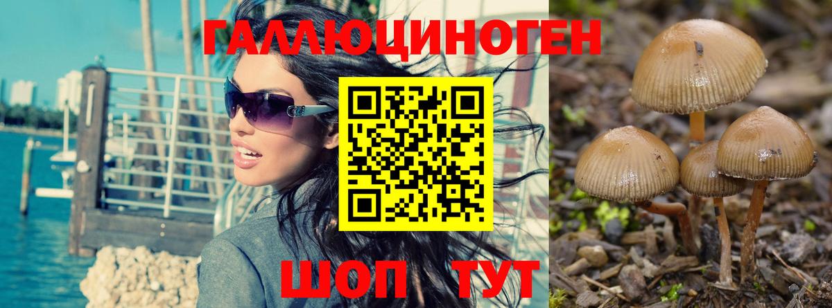 Галлюциногенные грибы прущие грибы  Вход с VPN  Псилоцибиновые грибы ЛСД  Татарск 