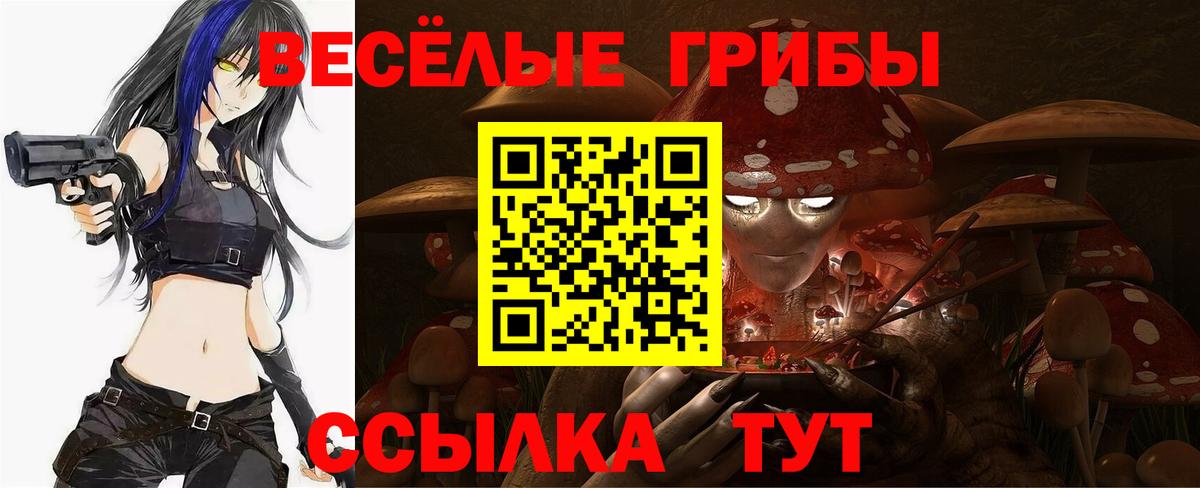 Галлюциногенные грибы MAGIC MUSHROOMS Татарск
